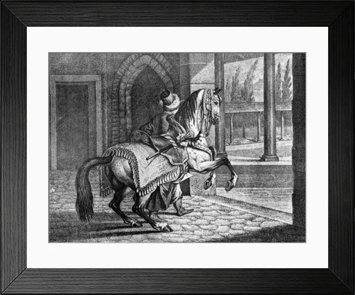 Framed Print : Turkish Sultans Arabian saddle horse, 1722, (1938) Framed Print : Turkish Sultans Arabian saddle horse, 1722, (1938)