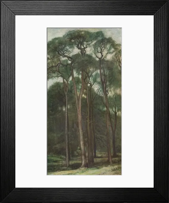 Framed Print : Study of Trees, c1900 (1903-1904). Artist: Charles Holroyd Framed Print : Study of Trees, c1900 (1903-1904). Artist: Charles Holroyd