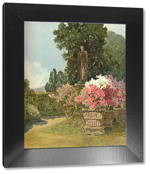 In The Colonna Gardens, c1900 (1902). Artist: Rosa Wallis