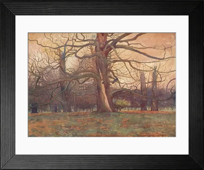 Framed Print : Study of an Oak Tree, c1878 (1903-1904). Artist: George Wilson Framed Print : Study of an Oak Tree, c1878 (1903-1904). Artist: George Wilson