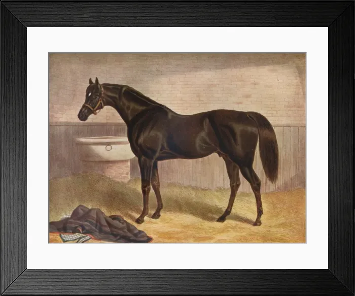 Framed Print : Gladiator, 19th century. Artist: John Frederick Herring I Framed Print : Gladiator, 19th century. Artist: John Frederick Herring I