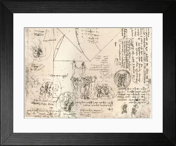 Framed Print : Studies of emblems, c1472-c1519 (1883). Artist: Leonardo da Vinci Framed Print : Studies of emblems, c1472-c1519 (1883). Artist: Leonardo da Vinci