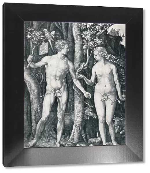 Adam and Eve, 1504 (1906). Artist: Albrecht Durer
