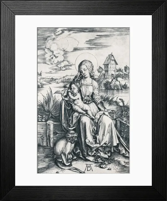 Framed Print : Virgin and Child with a Monkey, 1506 (1906). Artist: Albrecht Durer Framed Print : Virgin and Child with a Monkey, 1506 (1906). Artist: Albrecht Durer