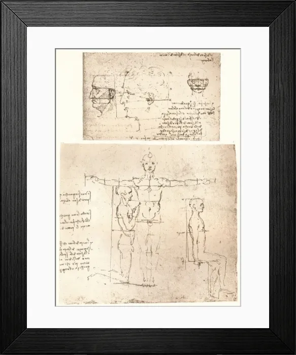 Framed Print : Two drawings illustrating the theory of the proportions of the human figure, c1472-c1519 (1883). Artist: Leonardo da Vinci Framed Print : Two drawings illustrating the theory of the proportions of the human figure, c1472-c1519 (1883). Artist: Leonardo da Vinci