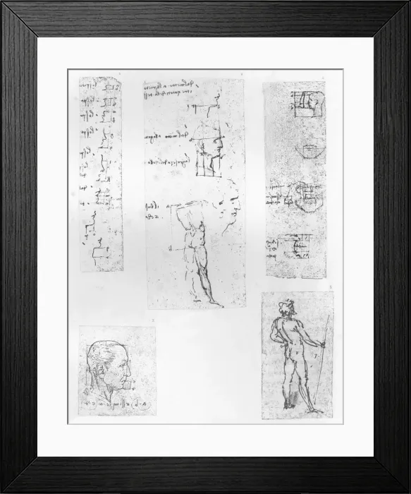Framed Print : Five drawings illustrating the theory of the proportions of the human figure, c1472-c1519 (1883). Artist: Leonardo da Vinci Framed Print : Five drawings illustrating the theory of the proportions of the human figure, c1472-c1519 (1883). Artist: Leonardo da Vinci