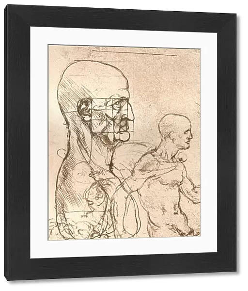 Drawing illustrating the theory of the proportions of the human figure, c1472-c1519 (1883). Artist: Leonardo da Vinci