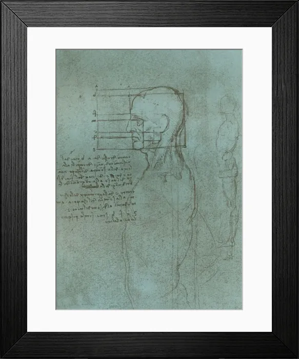 Framed Print : Drawing illustrating the theory of the proportions of the human figure, c1472-c1519 (1883). Artist: Leonardo da Vinci Framed Print : Drawing illustrating the theory of the proportions of the human figure, c1472-c1519 (1883). Artist: Leonardo da Vinci