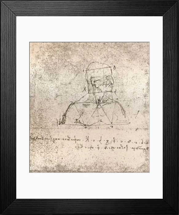 Framed Print : Drawing illustrating the theory of the proportions of the human figure, c1472-c1519 (1883). Artist: Leonardo da Vinci Framed Print : Drawing illustrating the theory of the proportions of the human figure, c1472-c1519 (1883). Artist: Leonardo da Vinci