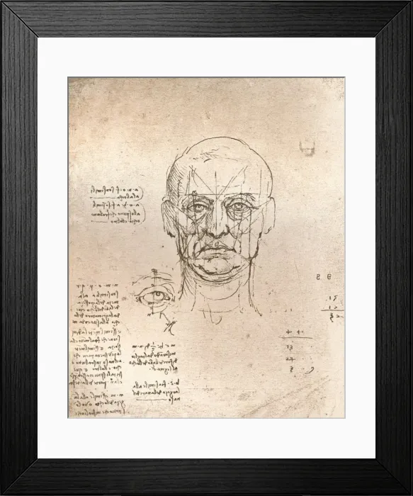 Framed Print : Drawing illustrating the theory of the proportions in the human figure, c1472-c1519 (1883). Artist: Leonardo da Vinci Framed Print : Drawing illustrating the theory of the proportions in the human figure, c1472-c1519 (1883). Artist: Leonardo da Vinci