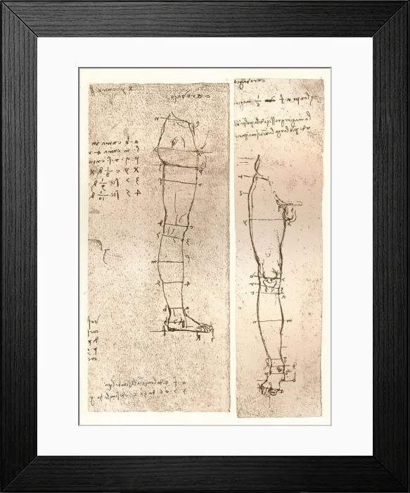 Framed Print : Two drawings illustrating the theory of the proportions of the human figure, c1472-c1519 (1883). Artist: Leonardo da Vinci Framed Print : Two drawings illustrating the theory of the proportions of the human figure, c1472-c1519 (1883). Artist: Leonardo da Vinci