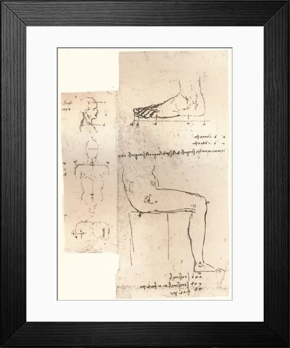 Framed Print : Two drawings illustrating the theory of the proportions of the human figure, c1472-c1519 (1883). Artist: Leonardo da Vinci Framed Print : Two drawings illustrating the theory of the proportions of the human figure, c1472-c1519 (1883). Artist: Leonardo da Vinci