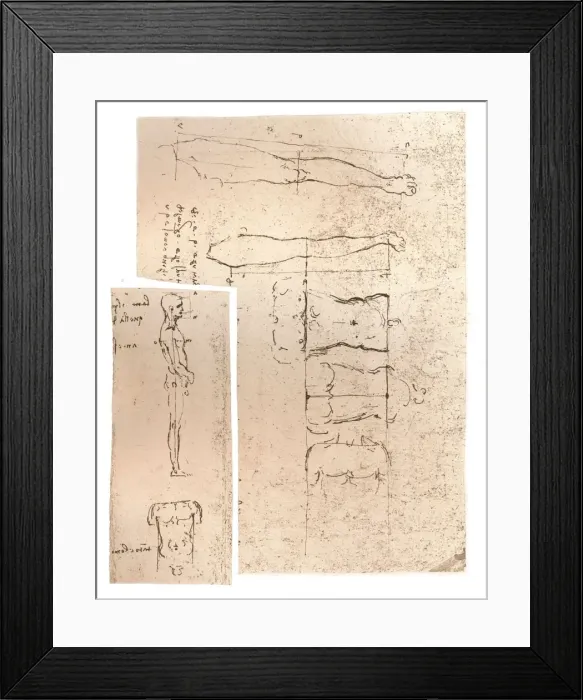 Framed Print : Two drawings illustrating the theory of the proportions of the human figure, c1472-c1519 (1883). Artist: Leonardo da Vinci Framed Print : Two drawings illustrating the theory of the proportions of the human figure, c1472-c1519 (1883). Artist: Leonardo da Vinci