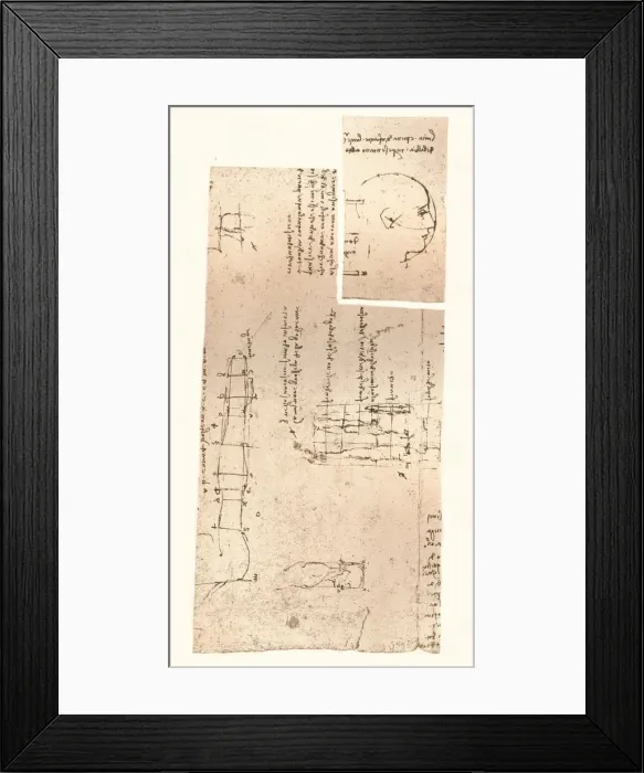 Framed Print : Two drawings illustrating the theory of the proportions of the human figure, c1472-c1519 (1883). Artist: Leonardo da Vinci Framed Print : Two drawings illustrating the theory of the proportions of the human figure, c1472-c1519 (1883). Artist: Leonardo da Vinci