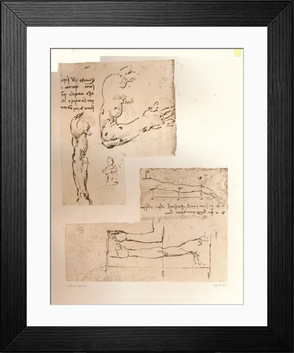 Framed Print : Two drawings illustrating the theory of the proportions of the human figure, c1472-c1519 (1883). Artist: Leonardo da Vinci Framed Print : Two drawings illustrating the theory of the proportions of the human figure, c1472-c1519 (1883). Artist: Leonardo da Vinci