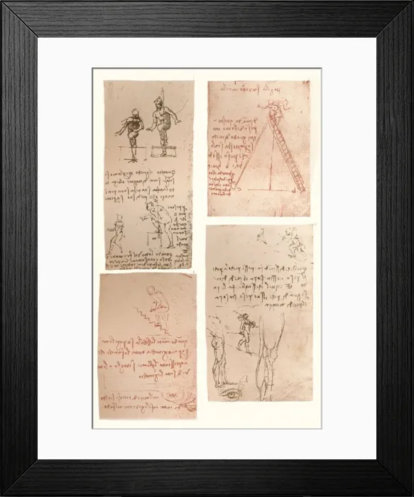 Framed Print : Four drawings illustrating the theory of the movements of the human figure, c1472-c1519 (1883). Artist: Leonardo da Vinci Framed Print : Four drawings illustrating the theory of the movements of the human figure, c1472-c1519 (1883). Artist: Leonardo da Vinci