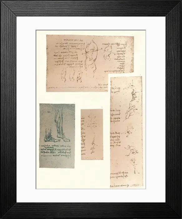 Framed Print : Four drawings illustrating the theory of the movements of the human figure, c1472-c1519 (1883). Artist: Leonardo da Vinci Framed Print : Four drawings illustrating the theory of the movements of the human figure, c1472-c1519 (1883). Artist: Leonardo da Vinci