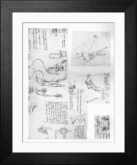 Framed Print : Three drawings illustrating the theory of the movements of the human figure, c1472-c1519 (1883). Artist: Leonardo da Vinci Framed Print : Three drawings illustrating the theory of the movements of the human figure, c1472-c1519 (1883). Artist: Leonardo da Vinci