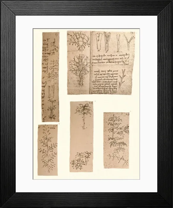 Framed Print : Five drawings illustrating the elements of landscape painting, c1472-c1519 (1883). Artist: Leonardo da Vinci Framed Print : Five drawings illustrating the elements of landscape painting, c1472-c1519 (1883). Artist: Leonardo da Vinci