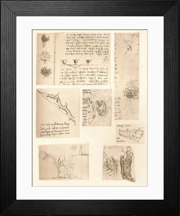 Framed Print : Five drawings illustrating the elements of landscape painting, c1472-c1519 (1883). Artist: Leonardo da Vinci