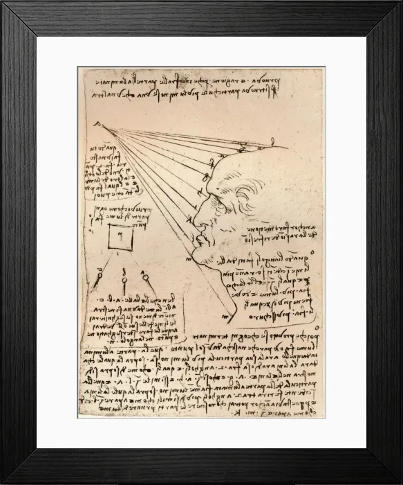 Framed Print : Drawing of a male head, illustrating the practice of painting, c1472-c1519 (1883). Artist: Leonardo da Vinci Framed Print : Drawing of a male head, illustrating the practice of painting, c1472-c1519 (1883). Artist: Leonardo da Vinci