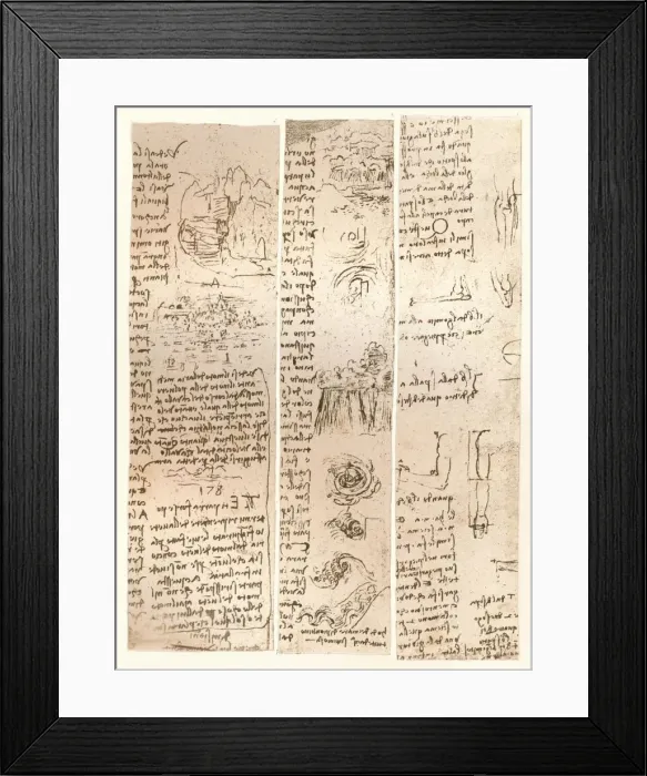 Framed Print : Three drawings, c1472-c1519 (1883). Artist: Leonardo da Vinci Framed Print : Three drawings, c1472-c1519 (1883). Artist: Leonardo da Vinci
