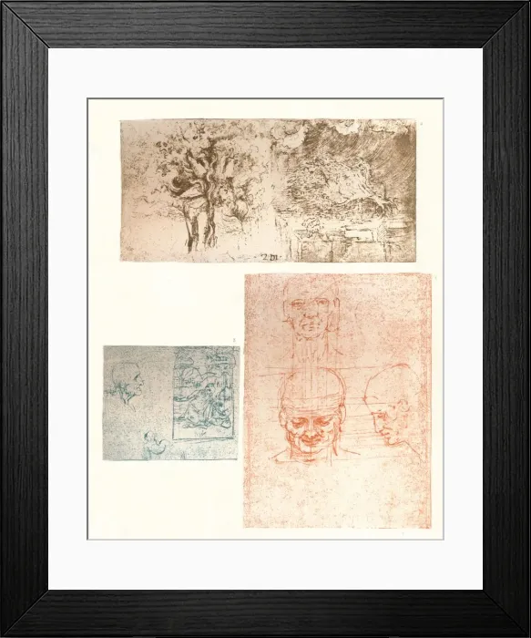 Framed Print : Three drawings, c1472-c1519 (1883). Artist: Leonardo da Vinci Framed Print : Three drawings, c1472-c1519 (1883). Artist: Leonardo da Vinci