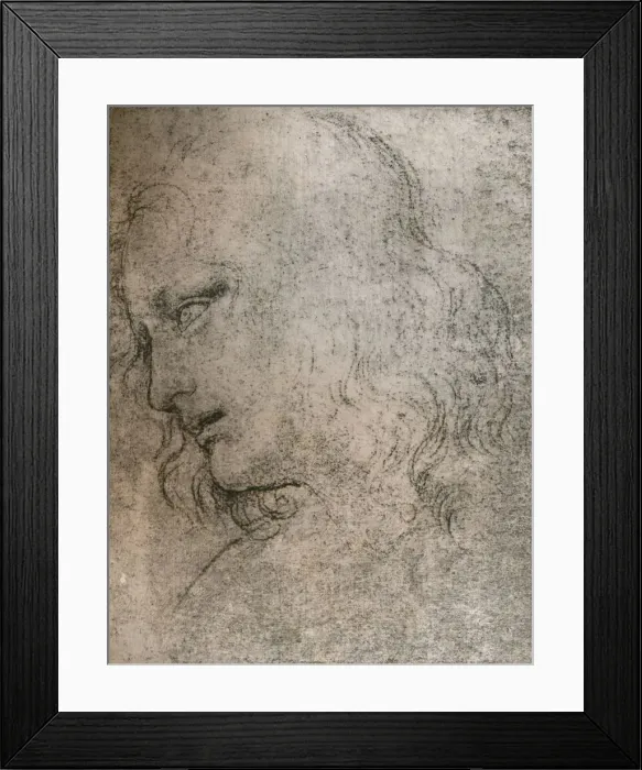 Framed Print : Study for the head of St Philip in `The Last Supper`, c1494-c1499 (1883). Artist: Leonardo da Vinci Framed Print : Study for the head of St Philip in `The Last Supper`, c1494-c1499 (1883). Artist: Leonardo da Vinci