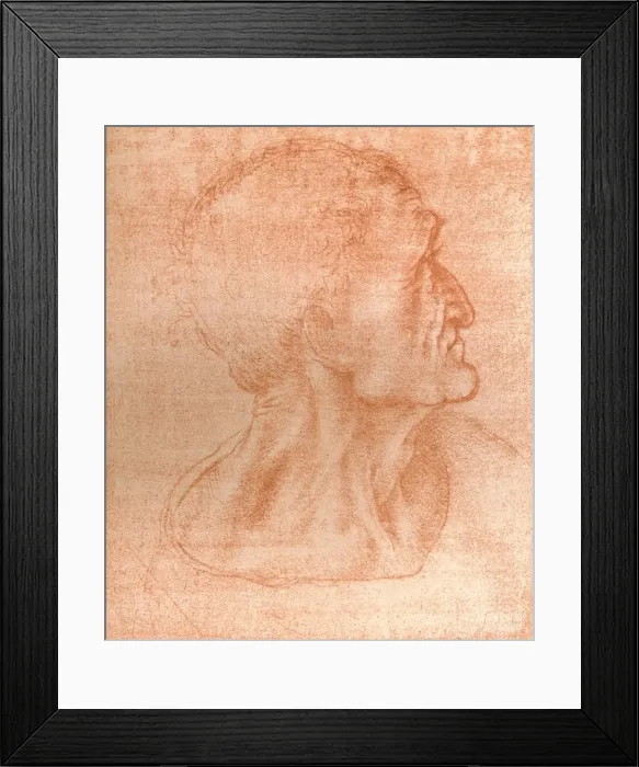 Framed Print : Study for the head of Judas in `The Last Supper`, c1494-c1499 (1883). Artist: Leonardo da Vinci Framed Print : Study for the head of Judas in `The Last Supper`, c1494-c1499 (1883). Artist: Leonardo da Vinci