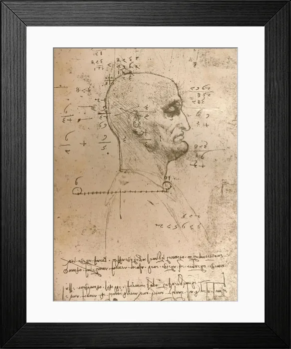 Framed Print : Drawing of the head of a criminal, c1472-c1519 (1883). Artist: Leonardo da Vinci Framed Print : Drawing of the head of a criminal, c1472-c1519 (1883). Artist: Leonardo da Vinci
