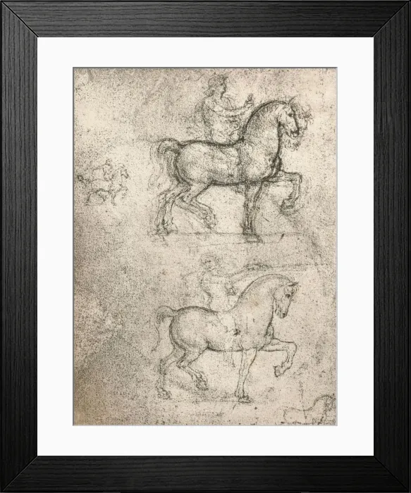 Framed Print : Study for the Sforza Monument, c1482-c1499 (1883). Artist: Leonardo da Vinci Framed Print : Study for the Sforza Monument, c1482-c1499 (1883). Artist: Leonardo da Vinci