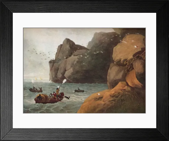Framed Print : Puffin Shooting, c1806. Artist: Nichols and Merke Framed Print : Puffin Shooting, c1806. Artist: Nichols and Merke