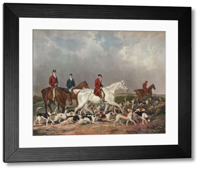 Framed Print : The Earl of Derbys Stag Hounds, c1823. Artist: Richard Woodman Framed Print : The Earl of Derbys Stag Hounds, c1823. Artist: Richard Woodman