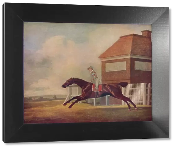 Mr. Ogilvys Bay Racehorse Trentham at Newmarket with Jockey up, 1771. Artist: George Stubbs