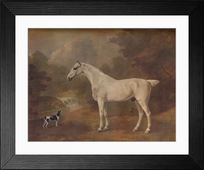 Framed Print : A Flea-Bitten Grey and a Spotted Terrier, 1803 Framed Print : A Flea-Bitten Grey and a Spotted Terrier, 1803