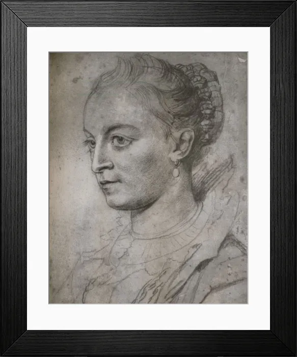 Framed Print : Susanne Fourment, c17th century. Artist: Peter Paul Rubens Framed Print : Susanne Fourment, c17th century. Artist: Peter Paul Rubens