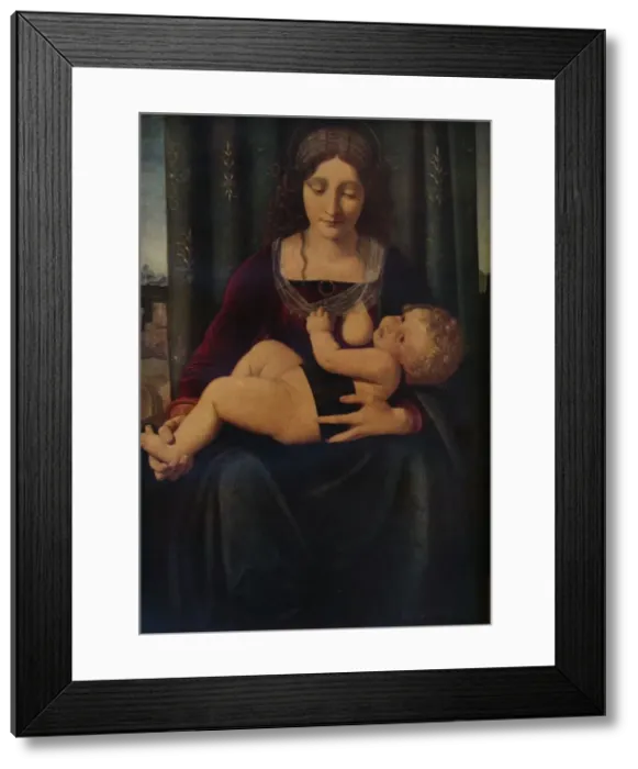 Framed Print : The Virgin and Child, c1493-9. Artist: Giovanni Antonio Boltraffio Framed Print : The Virgin and Child, c1493-9. Artist: Giovanni Antonio Boltraffio