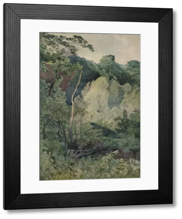 Framed Print : Trees near the Greta River, c19th century. Artist: John Sell Cotman Framed Print : Trees near the Greta River, c19th century. Artist: John Sell Cotman