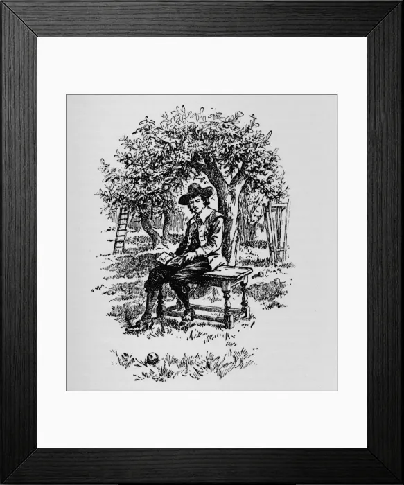 Framed Print : Why an apple falls, c1918 Framed Print : Why an apple falls, c1918