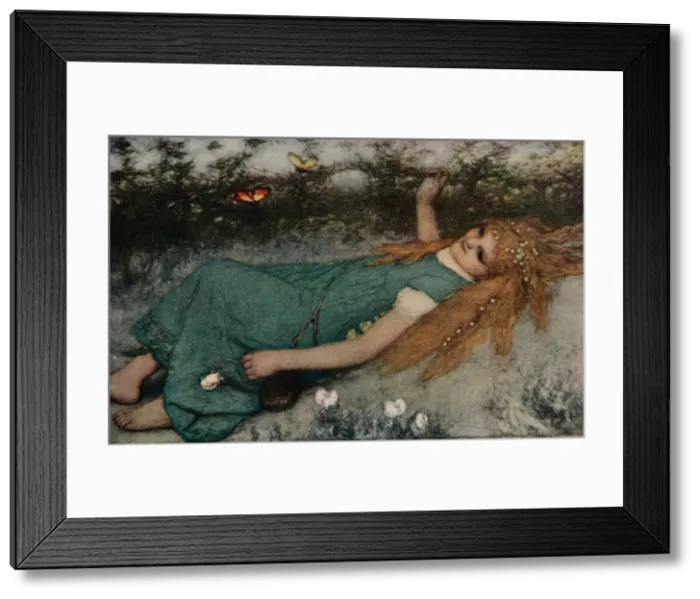 Framed Print : Butterflies, c1900. Artist: Matthias Marris Framed Print : Butterflies, c1900. Artist: Matthias Marris