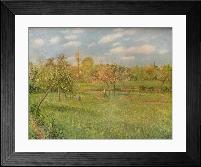 Framed Print : Apple Trees at Eragny, Morning Sunshine, c1896. Artist: Camille Pissarro Framed Print : Apple Trees at Eragny, Morning Sunshine, c1896. Artist: Camille Pissarro