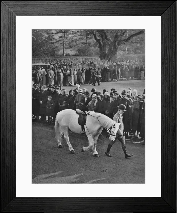 Framed Print : The Empty Saddle: King Georges white pony, Jock, being led in procession, 1936 Framed Print : The Empty Saddle: King Georges white pony, Jock, being led in procession, 1936