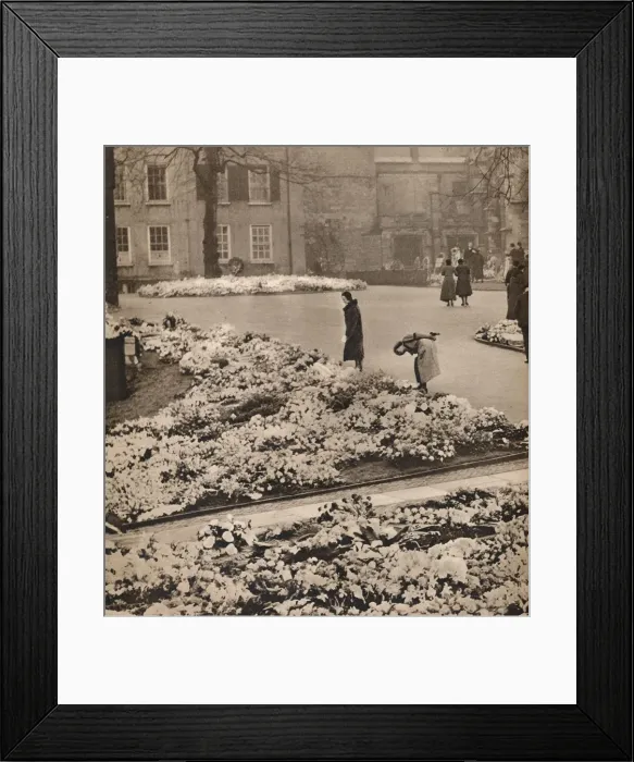 Framed Print : The State Funeral of King George V at Windsor: memorial wreaths, 1936 Framed Print : The State Funeral of King George V at Windsor: memorial wreaths, 1936