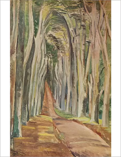 Savernake Forest, 1935. Artist: Paul Nash