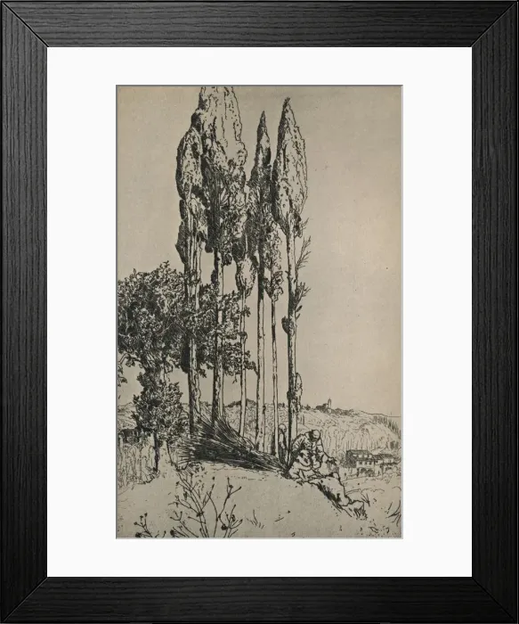 Framed Print : Cypress Trees Near Siena, 1903. Artist: Charles Holroyd Framed Print : Cypress Trees Near Siena, 1903. Artist: Charles Holroyd