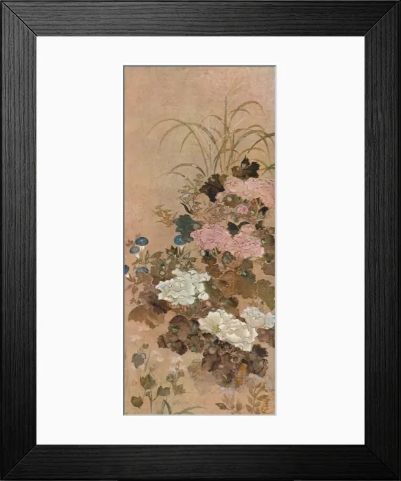 Framed Print : Summer Flowers, c1615. Artist: Sotatsu Framed Print : Summer Flowers, c1615. Artist: Sotatsu