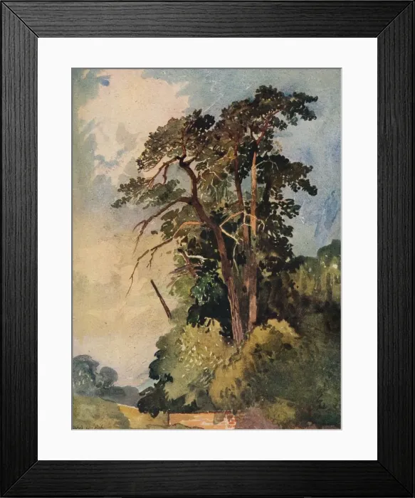 Framed Print : Study of Trees, c1880. Artist: Alfred William Rich Framed Print : Study of Trees, c1880. Artist: Alfred William Rich
