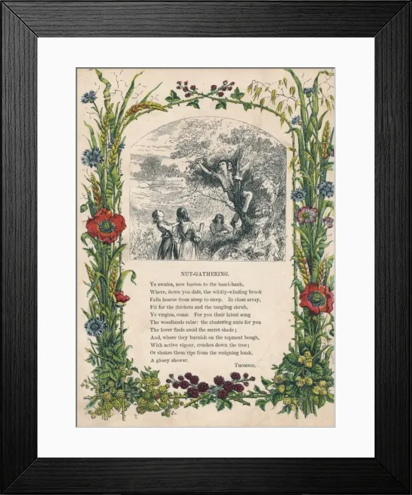 Framed Print : Nut-Gathering, by Thomson, c1900 Framed Print : Nut-Gathering, by Thomson, c1900