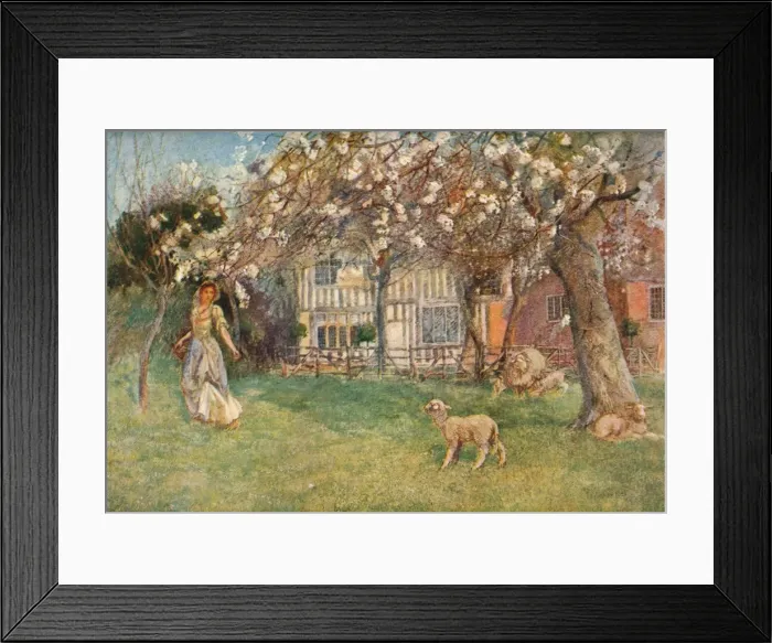 Framed Print : Lambs, c1904. Artist: Herbert Alexander Collins Framed Print : Lambs, c1904. Artist: Herbert Alexander Collins
