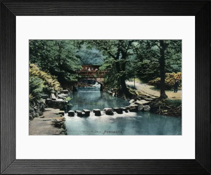 Framed Print : Jesmond Dene, Newcastle, c1905 Framed Print : Jesmond Dene, Newcastle, c1905